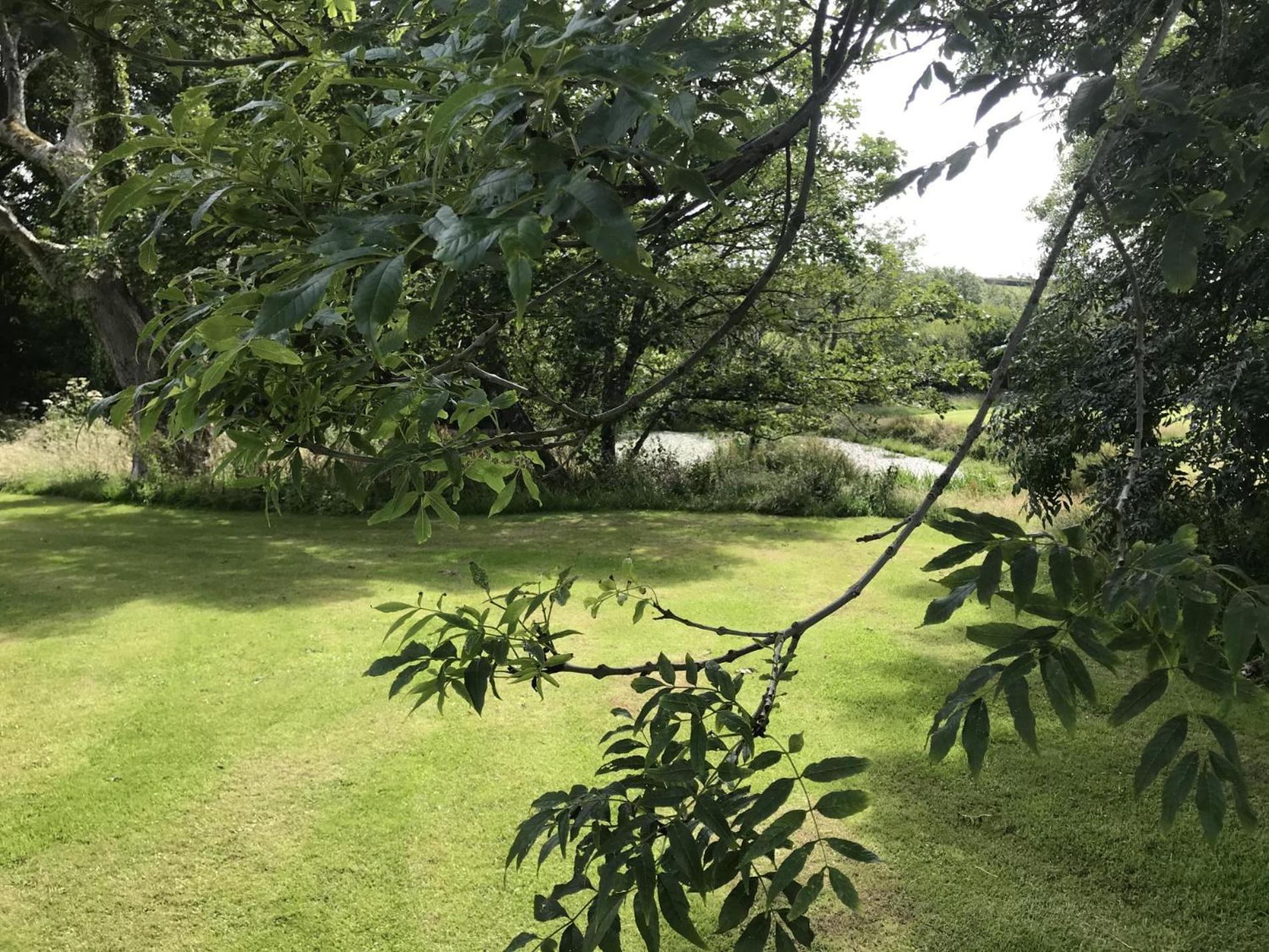 Fern Cottage - Luxurious 1 Bedroom - Blossom Farm Johnston Esterno foto